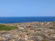 Stavros Kreta, Stavros: Küstengrundstücke mit Baugenehmigung und Meerblick zu verkaufen Grundstück kaufen